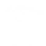 cropped-tree-house-logo-branco.png